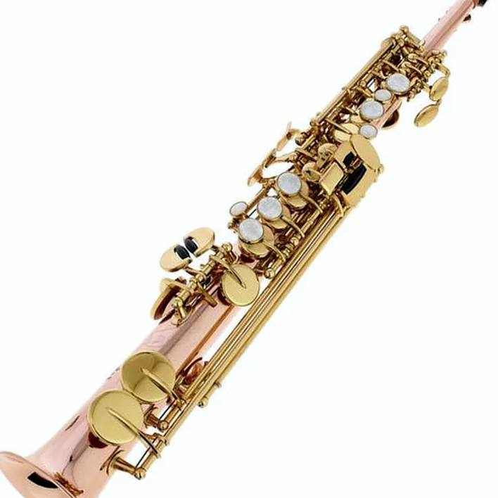 Le saxophone Thomann TSI-350 Sopranino Saxophone , Comparatif, Test et Avis