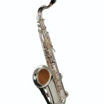 Test, Avis du saxophone Thomann TTS-580 GS Tenor Sax
