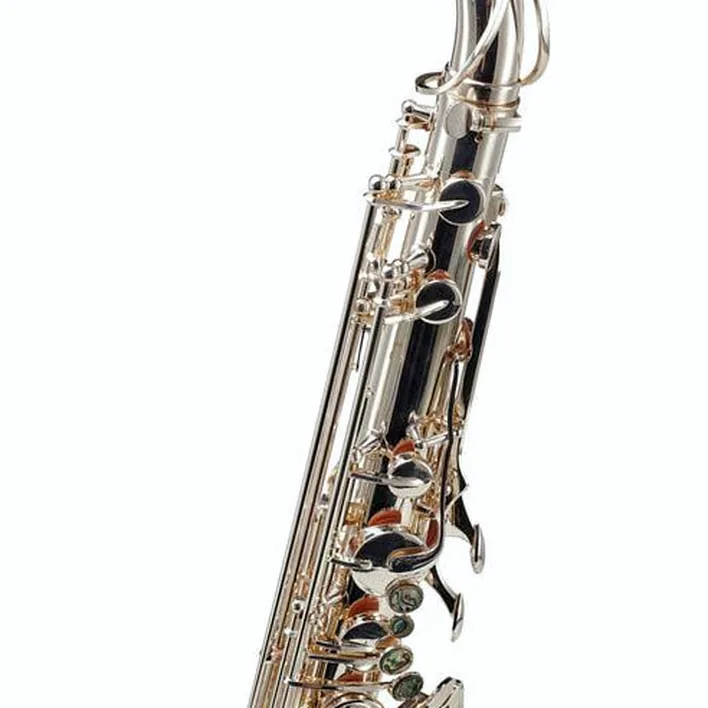 Test, Avis du saxophone Thomann TTS-580 GS Tenor Sax