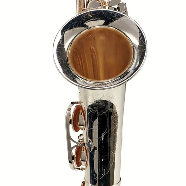 Test, Avis du saxophone Thomann TTS-580 GS Tenor Sax