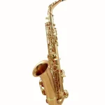 Le saxophone Yanagisawa A-WO2 Alto Sax Comparatif, Test & Avis