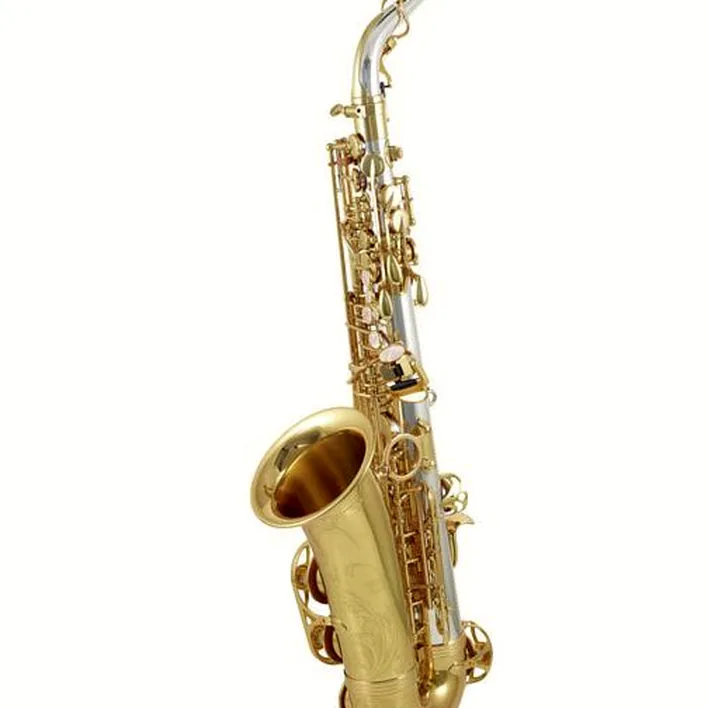 Le saxophone Yanagisawa A-WO30 Elite Alto Sax Avis et Test
