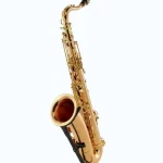 Le saxophone Yanagisawa T-WO2 Tenor Sax Test, Comparatif, Avis