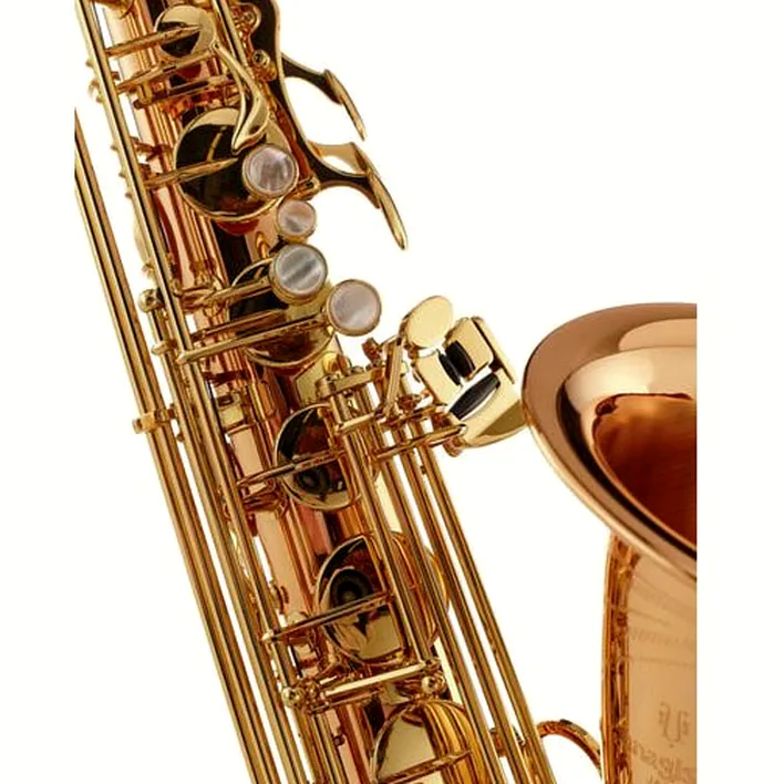 Le saxophone Yanagisawa T-WO2 Tenor Sax Test, Comparatif, Avis