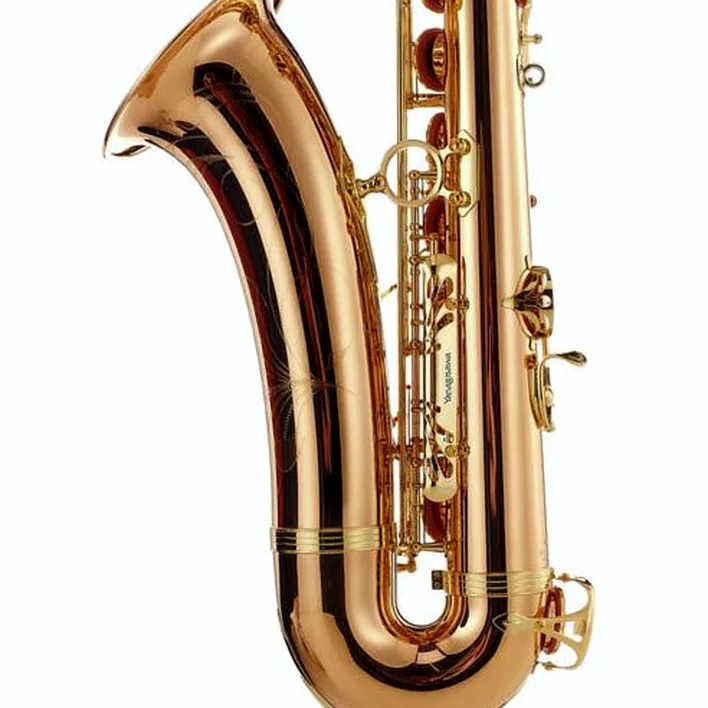 Le saxophone Yanagisawa T-WO2 Tenor Sax Test, Comparatif, Avis