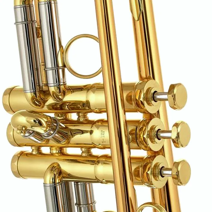 Schagerl James Morrison Trp. JM1-L Test, Avis, Comparatif