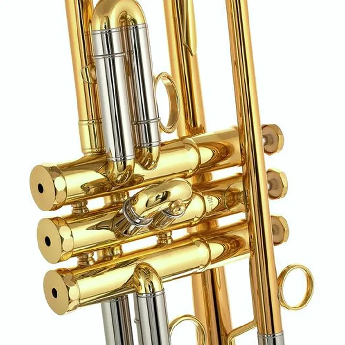 Schagerl James Morrison Trp. JM1-L Test, Avis, Comparatif