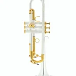 Schagerl Roman Empire Bb-Trumpet S / Avis, Test