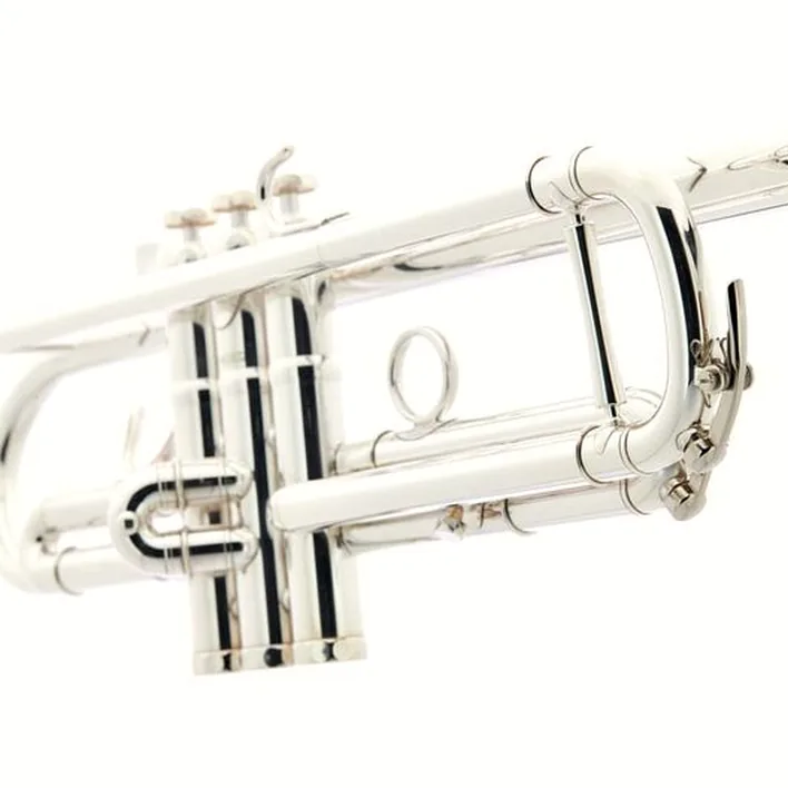 Schagerl TR-620S Bb-Trumpet , Avis & Test