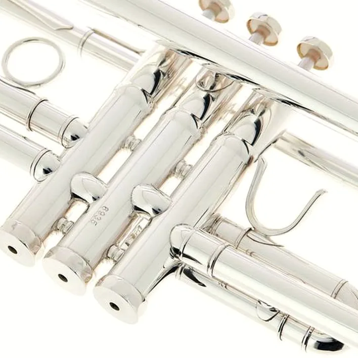 Schagerl TR-620S Bb-Trumpet , Avis & Test