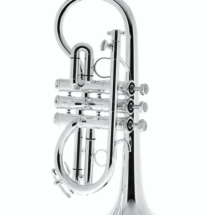 Schilke Eb Cornet , Test et Avis