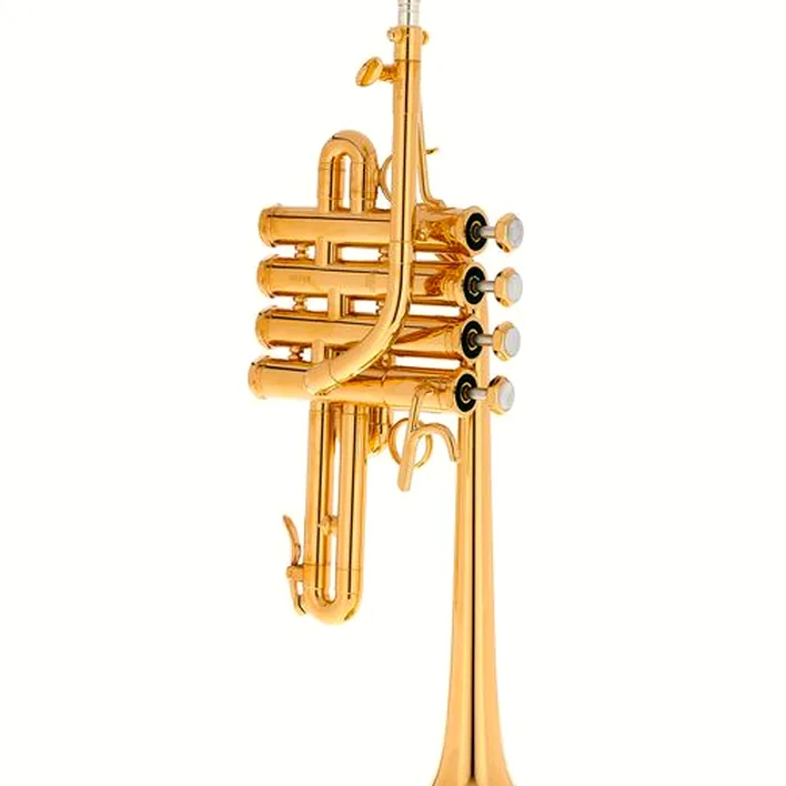 Schilke P5-4 Butler/Geyer Gold / Test, Avis, Comparatif
