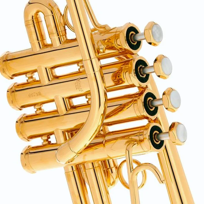 Schilke P5-4 Butler/Geyer Gold / Test, Avis, Comparatif