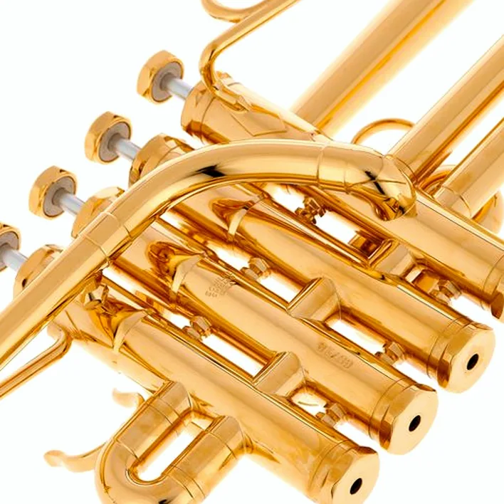 Schilke P5-4 Butler/Geyer Gold / Test, Avis, Comparatif