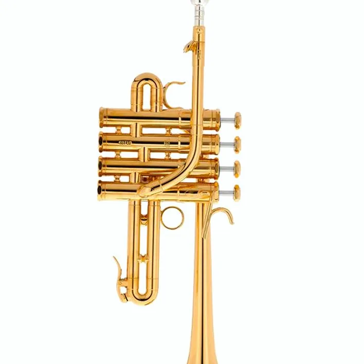 Schilke P5-4 Butler/Geyer Gold / Test, Avis, Comparatif