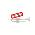 Schilke S22C- HD C-Trumpet Avis, Comparatif et Test