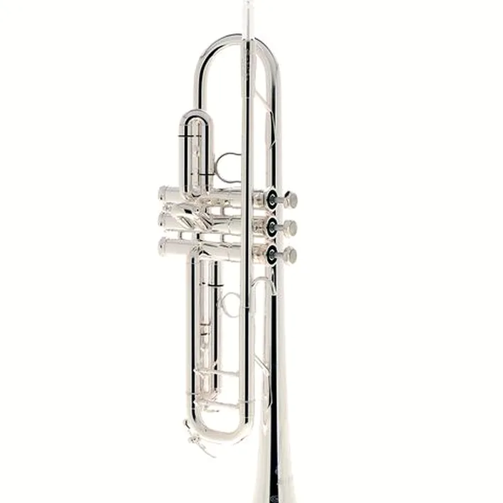 Schilke SB4-OT Bb-Trumpet : Comparatif, Avis & Test