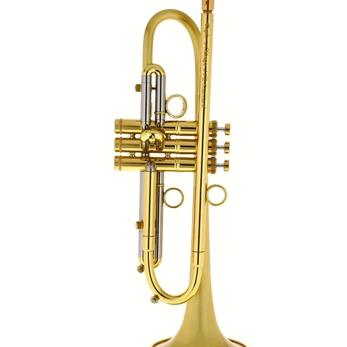 Taylor Trumpets Chicago Standard Bb-Trumpet / Test, Avis & Comparatif
