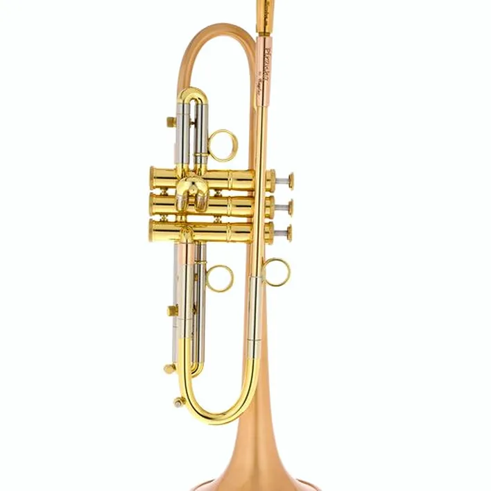 Taylor Trumpets Piranha Bb-Trumpet Comparatif, Avis et Test