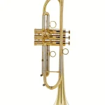Test, Avis : AGAMI B 130A Trumpet raw