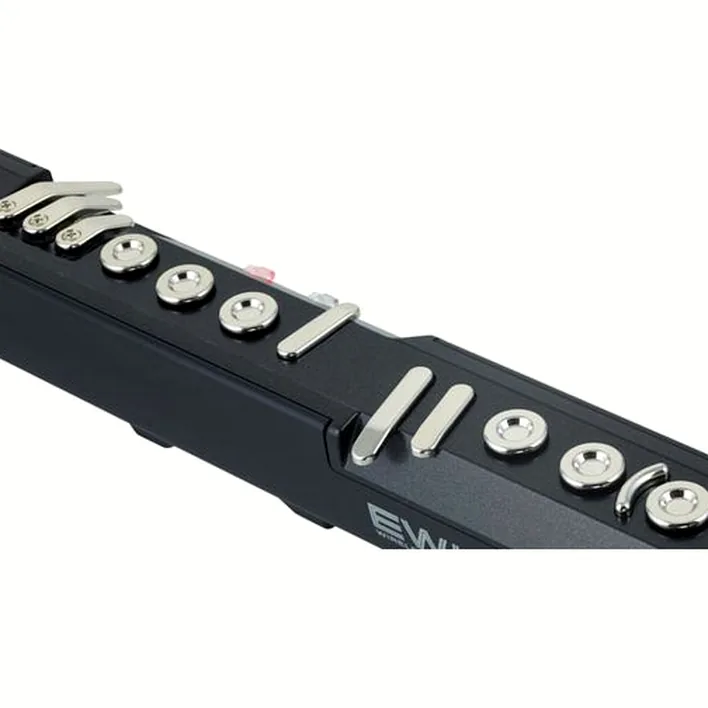 Test, Avis : AKAI Professional EWI 5000