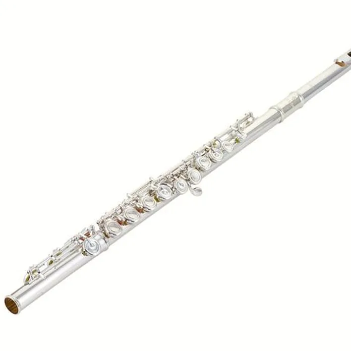 Test, Avis : Azumi AZ-Z1 E Flute