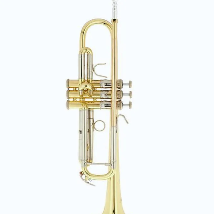 Test, Avis : Bach TR-450 Bb- Trumpet Set