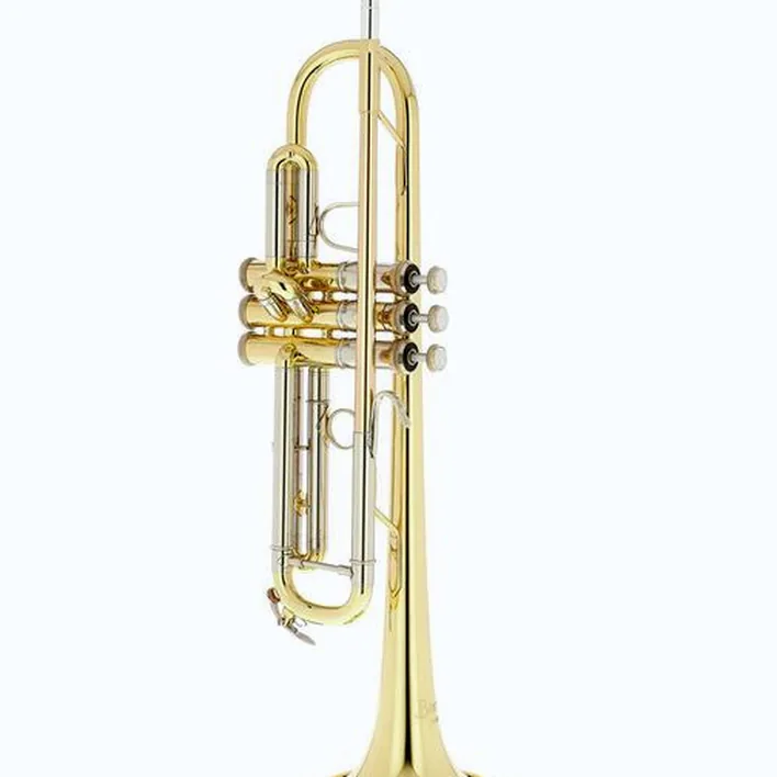 Test, Avis : Bach TR-450 Bb- Trumpet Set