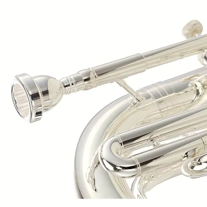 Test, Avis baryton Wagnérien Thomann MBH-303 S Baritone
