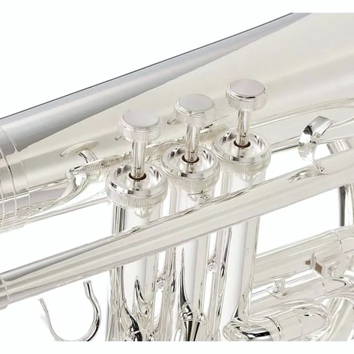 Test, Avis baryton Wagnérien Thomann MBH-303 S Baritone