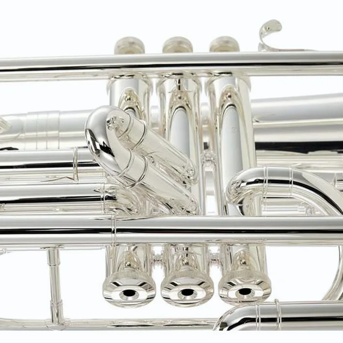 Test, Avis baryton Wagnérien Thomann MBH-303 S Baritone
