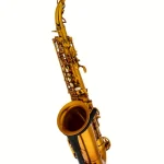 Test, Avis : BetterSax Session Alto Matte Gold