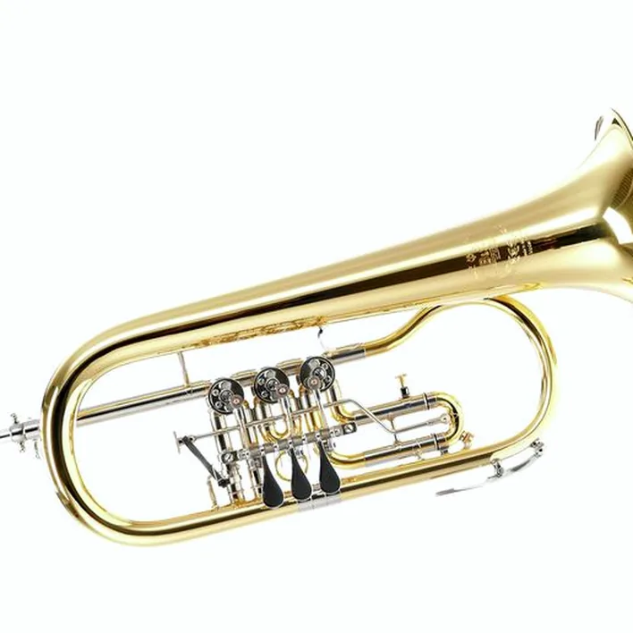 Le bugle B&S 17/2T-L Bb-Flugelhorn Comparatif, Avis, Test