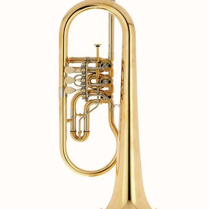 Bugle Schagerl Hans Gansch Flugelhorn – Comparatif, Test et Avis