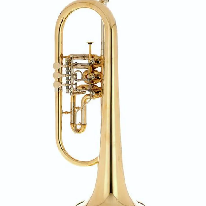 Bugle Schagerl Hans Gansch Flugelhorn – Comparatif, Test et Avis