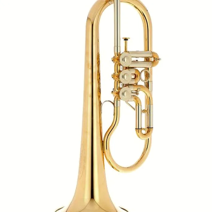 Bugle Schagerl Hans Gansch Flugelhorn – Comparatif, Test et Avis