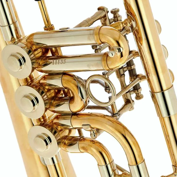 Bugle Schagerl Hans Gansch Flugelhorn – Comparatif, Test et Avis