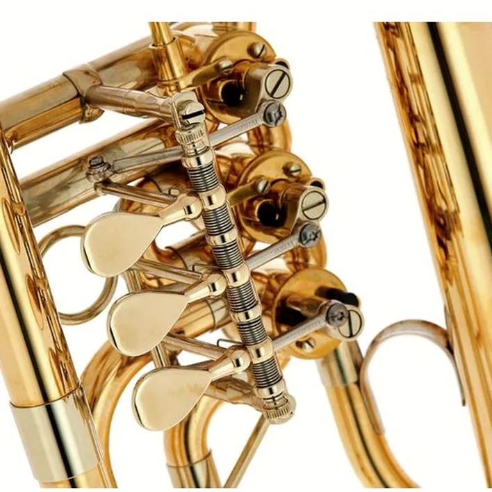 Bugle Schagerl Hans Gansch Flugelhorn – Comparatif, Test et Avis