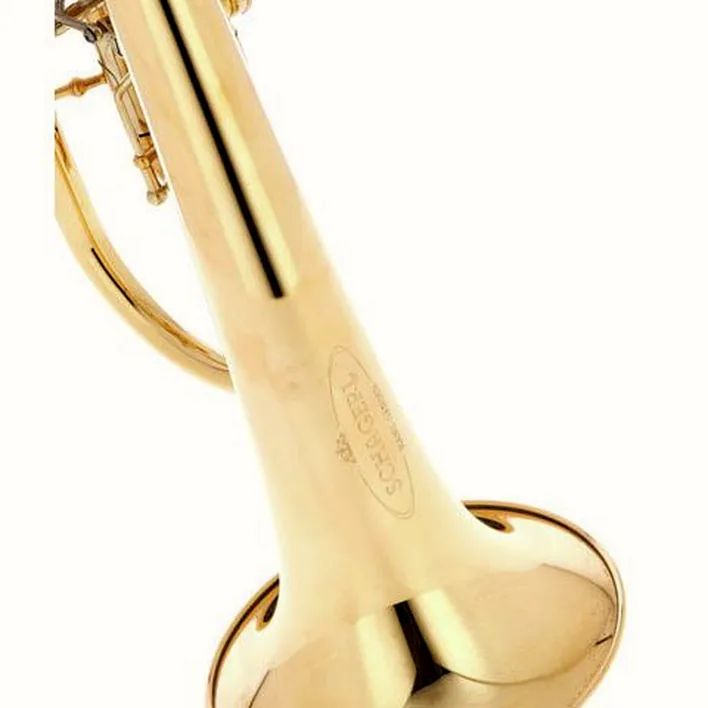 Bugle Schagerl Hans Gansch Flugelhorn – Comparatif, Test et Avis