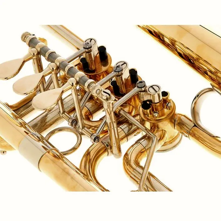 Bugle Schagerl Hans Gansch Flugelhorn – Comparatif, Test et Avis