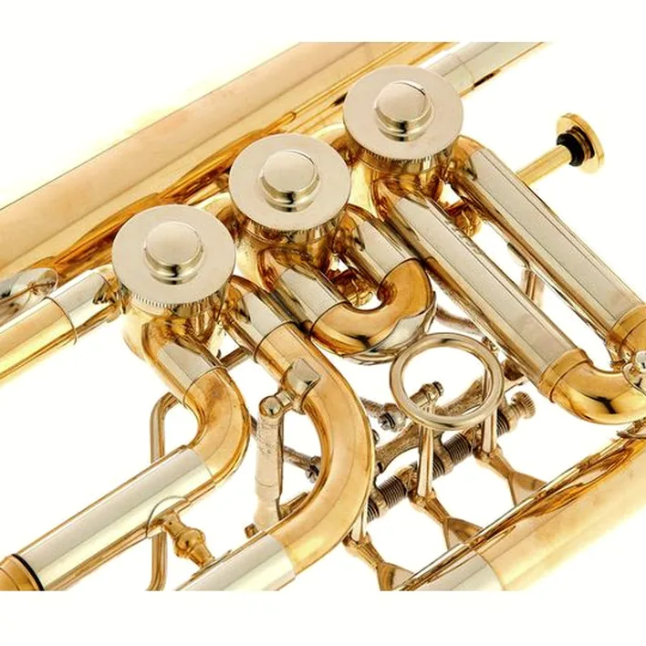 Bugle Schagerl Hans Gansch Flugelhorn – Comparatif, Test et Avis