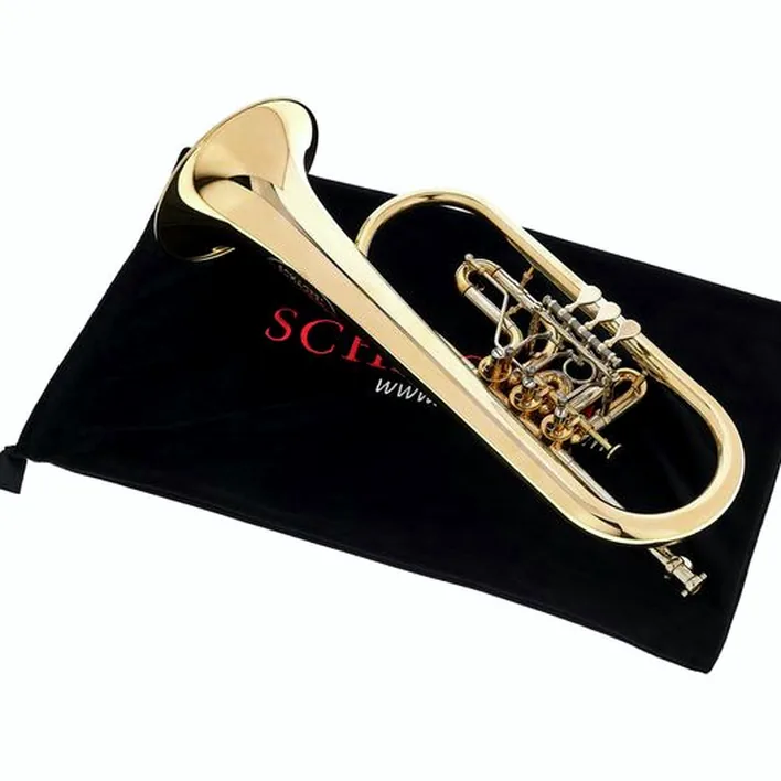 Bugle Schagerl Hans Gansch Flugelhorn – Comparatif, Test et Avis