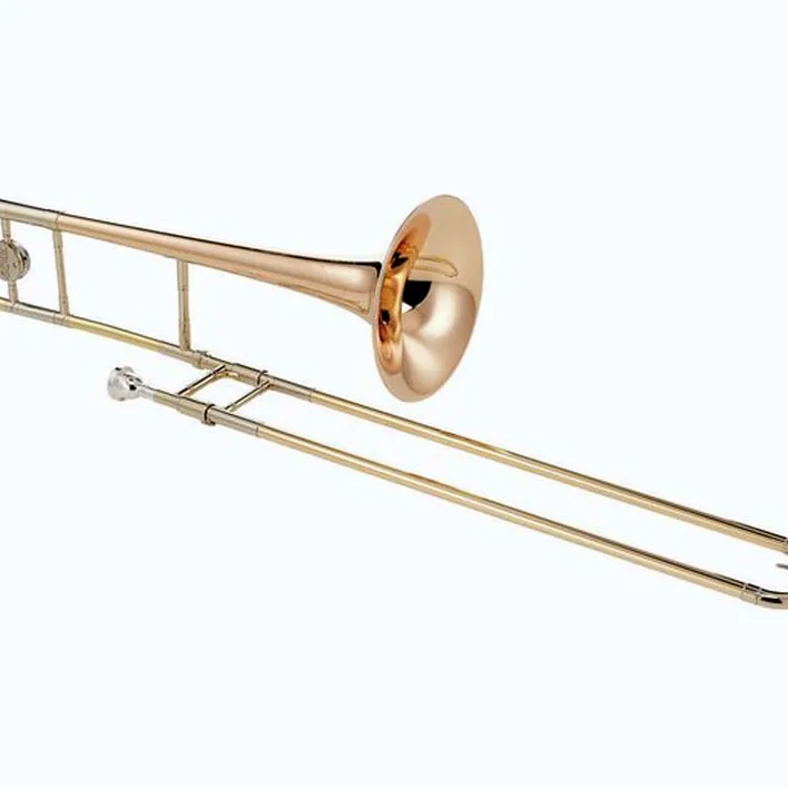 Trombone C.G.Conn 8H Bb Tenor Trombone Comparatif, Avis & Test