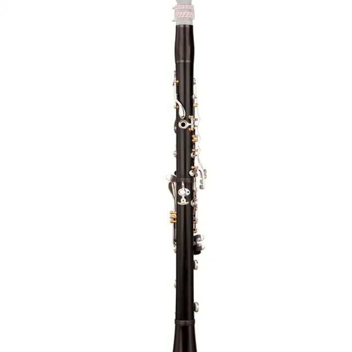 La clarinette RZ Clarinets Allegro D Bb-Clarinet 18/6 Comparatif, Test et Avis