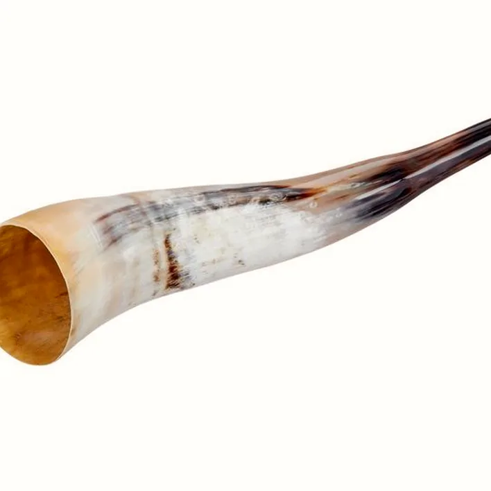 Test, Avis cor de chasse Thomann Cow Horn polished