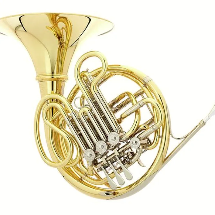 Test & Avis cor d’harmonie Hans Hoyer 6801A-L Double Horn