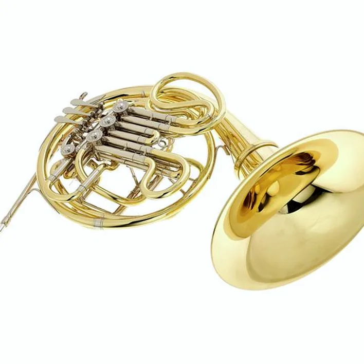 Test & Avis cor d’harmonie Hans Hoyer 6801A-L Double Horn
