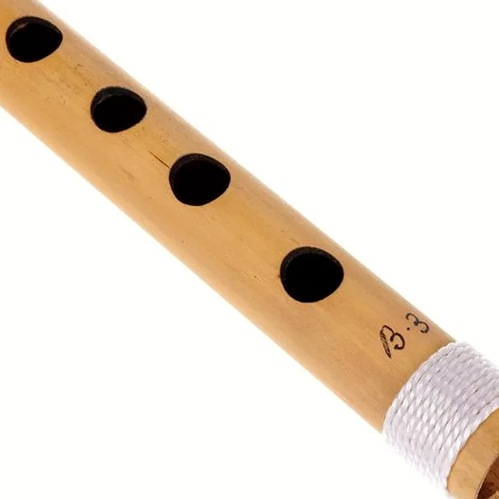 Test, Avis de la flûte Thomann Nataraj Bansuri Side Blown C#