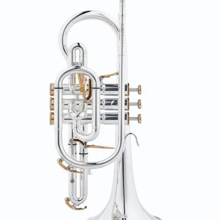 Test & Avis de la trompette Besson BE2029-2 Prestige Bb-Cornet