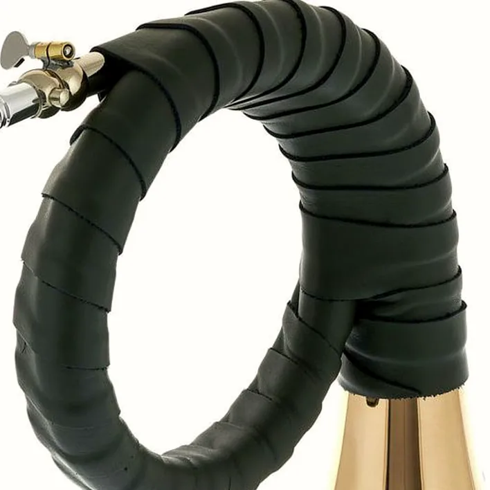 Test, Avis : Dotzauer Meister Bb Horn 18825 Set